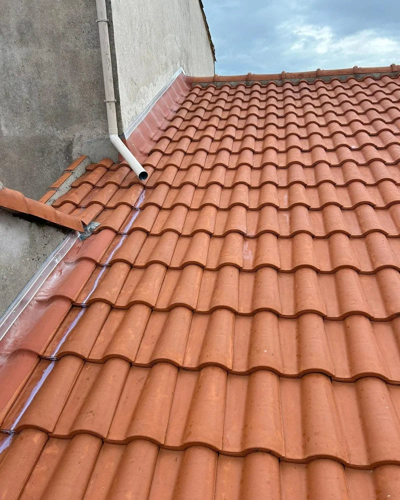 ravalement-facade-peinture-intérieure-toiture-entretien-ms-renovation-vertou-44 (1)