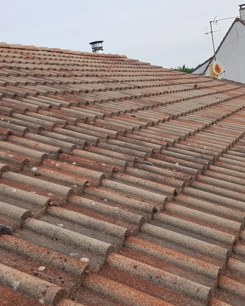 ravalement-facade-peinture-intérieure-toiture-entretien-ms-renovation-vertou-44 (2)