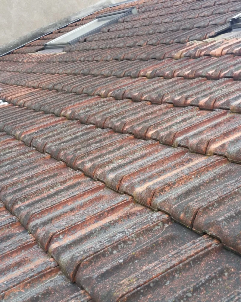 ravalement-facade-peinture-intérieure-toiture-entretien-ms-renovation-vertou-44 (3)