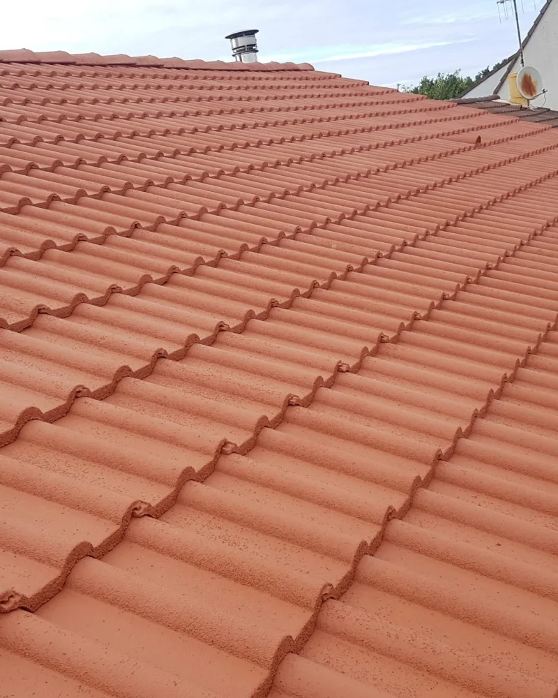 ravalement-facade-peinture-intérieure-toiture-entretien-ms-renovation-vertou-44 (3)