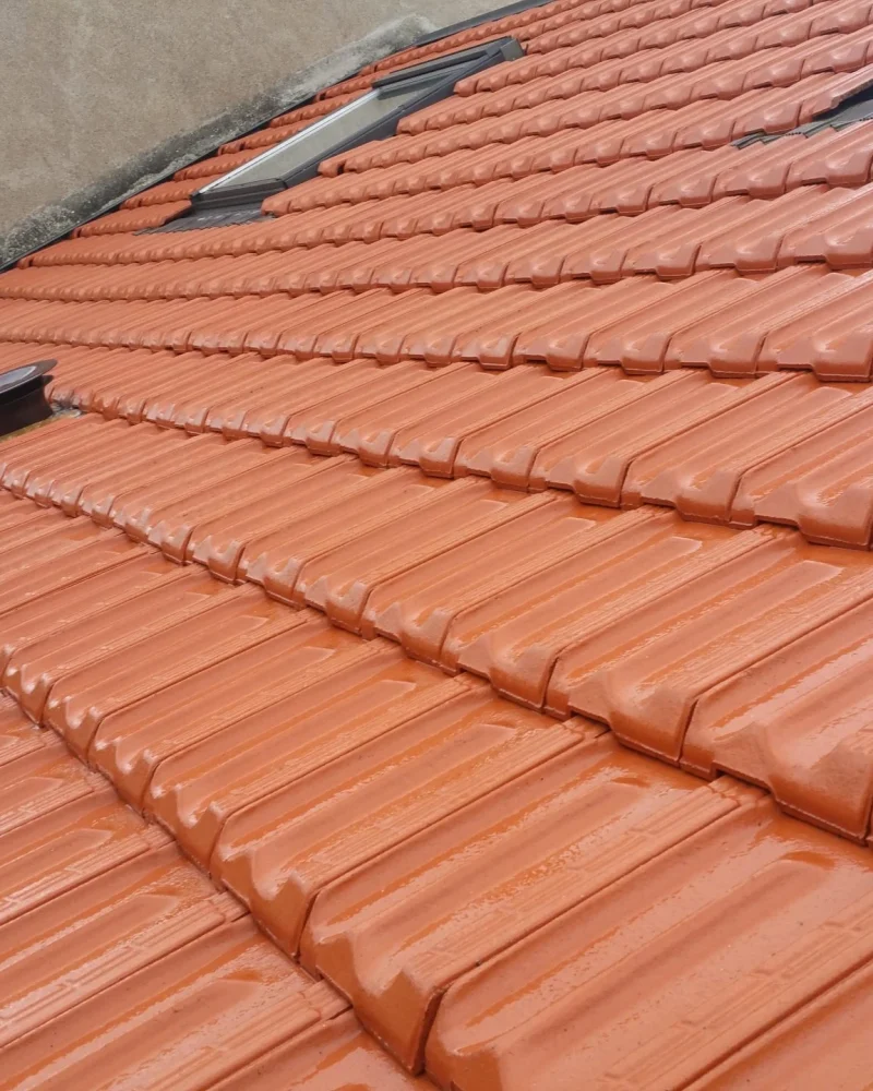 ravalement-facade-peinture-intérieure-toiture-entretien-ms-renovation-vertou-44 (4)