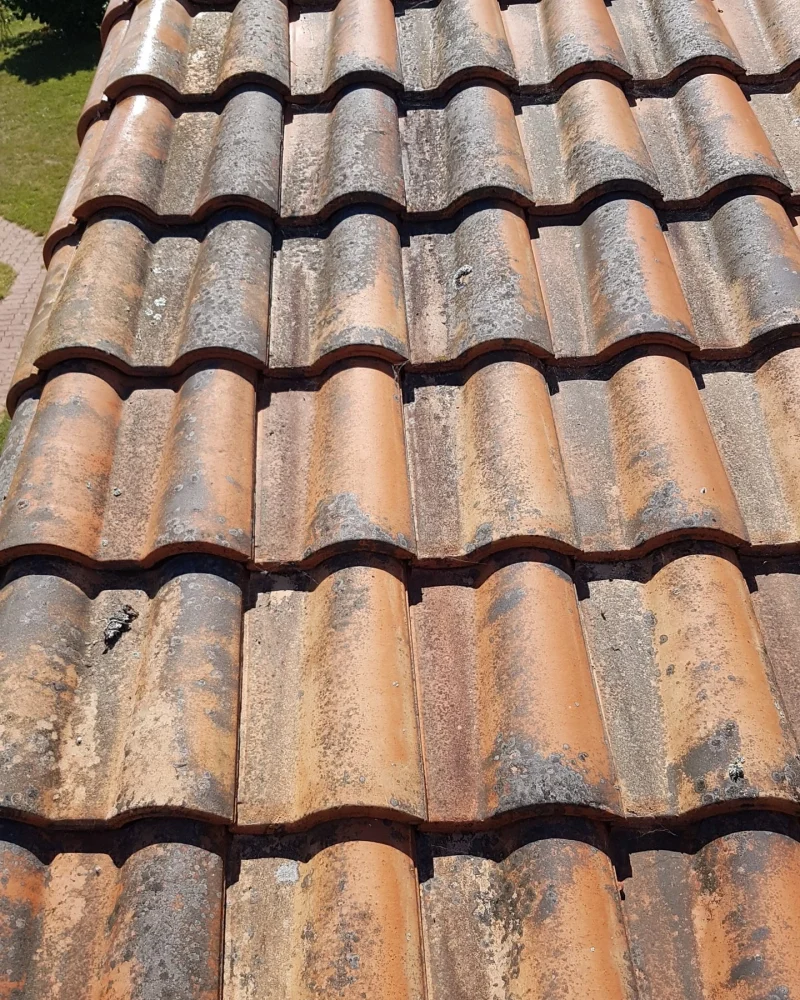 ravalement-facade-peinture-intérieure-toiture-entretien-ms-renovation-vertou-44 (4)