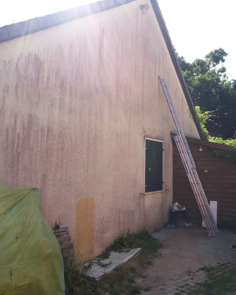 ravalement-facade-peinture-intérieure-toiture-entretien-ms-renovation-vertou-44 (6)