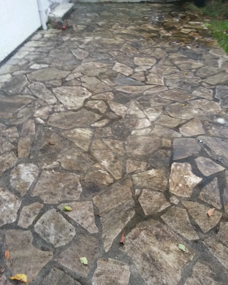 ravalement-facade-peinture-intérieure-toiture-entretien-ms-renovation-vertou-44 (8)